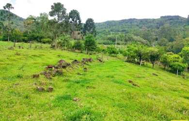 Imagem 14: Sítio / Chácara para Venda em Nova Petrópolis, Linha Riachuelo, 3 dormitórios,...
