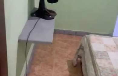 Imagem 14: Casa praia do forte Cabo Frio