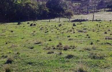 Imagem 15: Chácara em Igrejinha