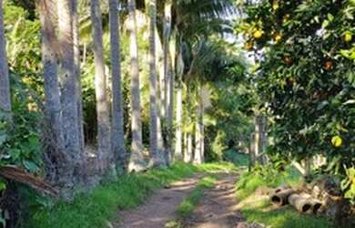 Imagem 9: Chácara em Igrejinha