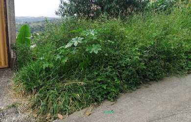 Imagem 4: Lote bairro palmeira Ibirité