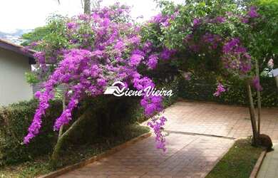 Imagem 13: CASA DE CONDOMINIO RESIDENCIAL em ARUJÁ - SP, CASA EM CONDOMINIO