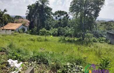 Imagem 11: TERRENO - BAIRRO DO TIJUCO PRETO - SP