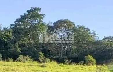 Imagem 5: Área disponível para locação no bairro Zona Rural em Uberlândia-MG