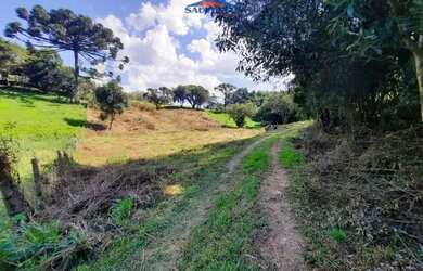 Imagem: O terreno possui 5927m² de Área e está localizado em Carlos