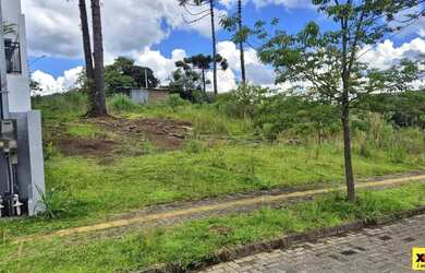 Imagem 3: Terreno para Venda em Nova Petrópolis, Linha Imperial