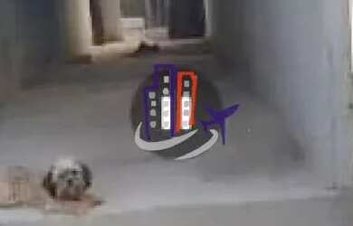 Imagem 6: Casa Para Vender com 01 quarto no bairro Capim Rasteiro em Contagem