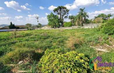 Imagem 6: TERRENO - VILA SANTISTA - SP
