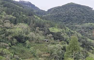 Imagem 4: Sítio / Chácara para Venda em Nova Petrópolis, Linha Pirajá Baixa,...