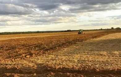 Imagem 9: Fazenda para Venda em Centro Unaí-MG