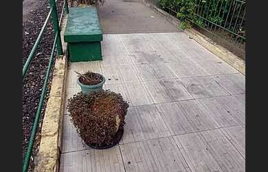 Imagem 3: Apartamento com 02 Quartos no Condomínio Village na Pavuna André Luiz...