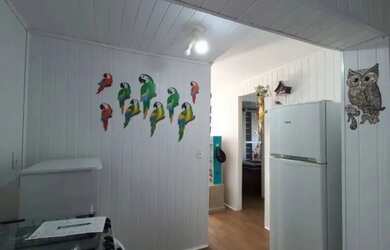 Imagem 10: CAXIAS DO SUL - Casa Padrão - KAYSER