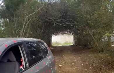 Imagem 5: Vendo. 1.000m² de Área