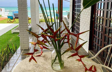 Imagem 5: Aluguel por Temporada - Casa Beira Mar na Barra de São Miguel