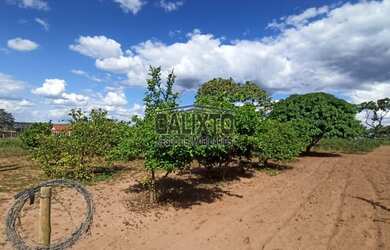 Imagem 10: SÍTIO FAZENDA SANTA LUZIA