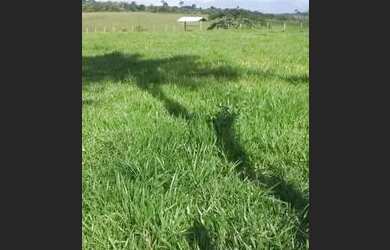 Imagem: A fazenda possui 2780000m² de Área e está localizado em Prado