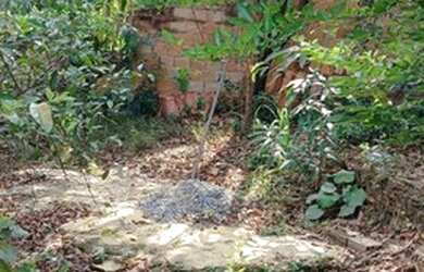 Imagem: A casa possui 3 Dormitórios, 3 Banheiros, 4 Vagas na garagem