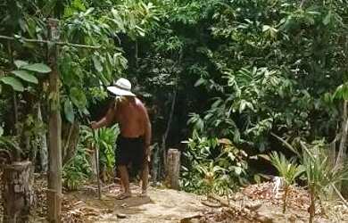 Imagem 2: Vendo sítio 20 minutos de Manaus