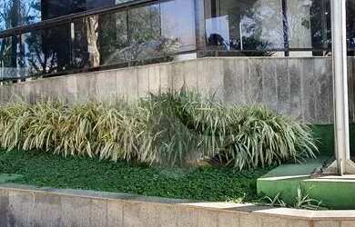 Imagem 14: Salas à venda ou para locação em Higienópolis - SP