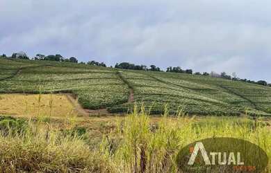 Imagem 4: FAZENDA DE ALTO PADRÃO 729 HECTARES MINAS GERAIS