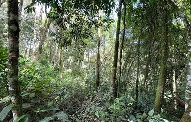 Imagem 6: Lote com projeto pronto no Terras Altas