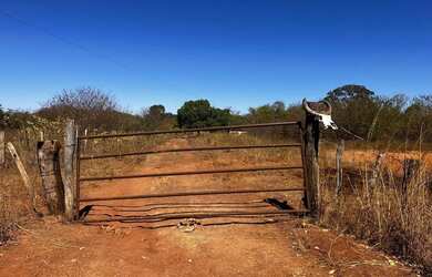 Imagem 3: Fazenda arrendamento 700hec pra abrir em aliança do Tocantins TO