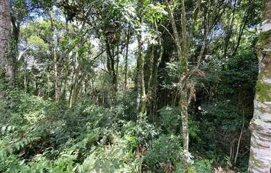 Imagem 5: Lote com projeto pronto no Terras Altas