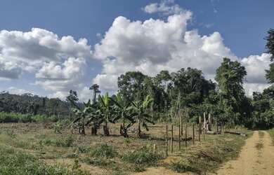Imagem: A fazenda possui 1m² de Área e está localizado em Barra