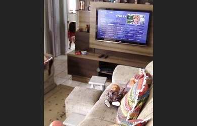 Imagem 11: Casa à venda, 189 m² por R$ 540.000,00 - Parque Industrial - São José...