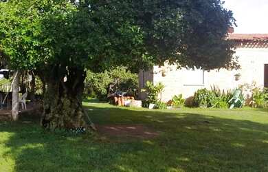 Imagem 8: Fazenda a venda. 450m² de Área