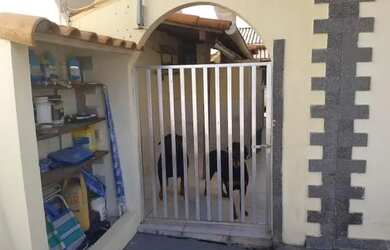 Imagem 8: Locação anual em Araruama