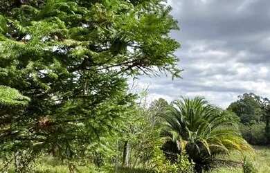 Imagem 15: Chácara De Frente Para Rua Principal. 1T19TD3