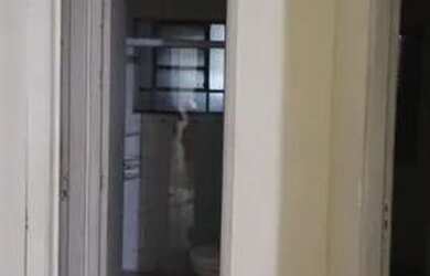 Imagem: Apartamento com 2 dormitórios à venda, 53 m² por R$ 179.000