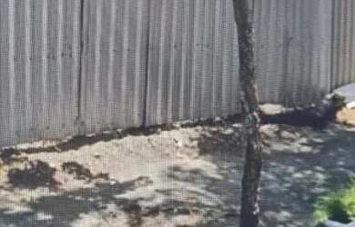 Imagem 16: Terreno Residencial para Venda em Rio de Janeiro, Pechincha