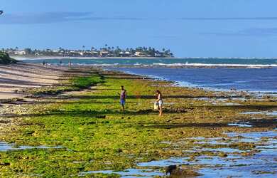 Imagem 9: Mansão para ALUGUEL TEMPORADA com quadra de beach tênis frente mar em Guarajuba