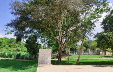 Imagem 14: Chácara com água Próximo a Goiânia Ótima Estrutura