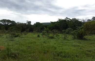 Imagem: A fazenda está localizado em Buritis, MG à venda por R$4.500.000