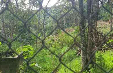 Imagem 1: Terreno 40x50 Guarulhos. 2.000m² de Área