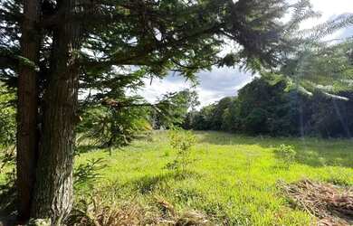 Imagem 13: Chácara De Frente Para Rua Principal. 1T19TD3