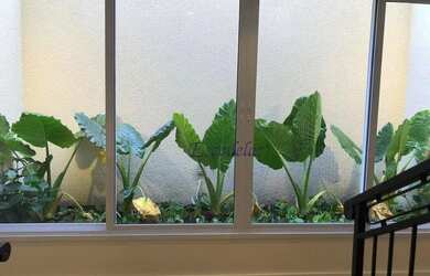 Imagem 4: Casa com 4 dormitórios, 400 m² - venda por R$ 12.000.000,00 ou aluguel...