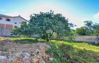 Imagem 7: Vendas Terreno Curitiba PR