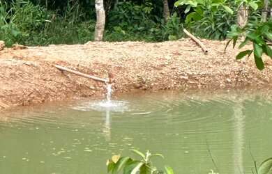 Imagem: A chácara possui 46.000m² de Área e está localizado em