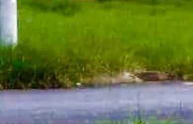 Imagem 4: Black Friday Terreno / lote com venda por R$810.000