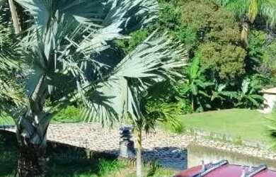 Imagem 14: Aluguel de granjas para eventos