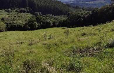 Imagem 14: Chácara na Mulada