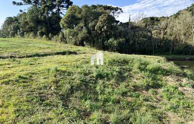 Imagem: A fazenda possui 53.000m² de Área e está localizado em Cachoeira