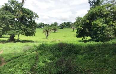 Imagem 9: Alugo Pasto Abadia de Goiás 3 Alqueire com água