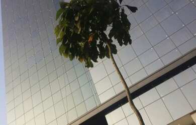 Imagem 6: Ibis Porto Atlântico. Piscina, Imóvel mobiliado, Ar-condicionadoe20m²...