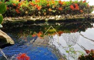 Imagem 3: CASA A VENDA NO JARDIM IPIRANGA EM AMERICANA