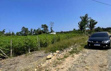 Imagem 1: Terreno no Itapocu. 265m² de Área